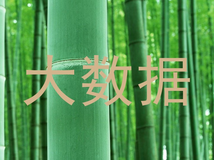大数据