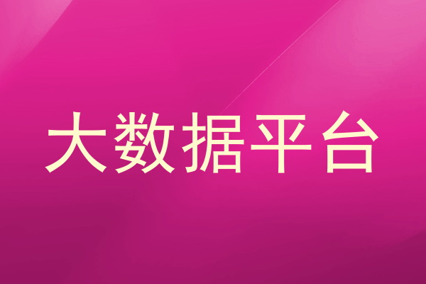 大数据平台