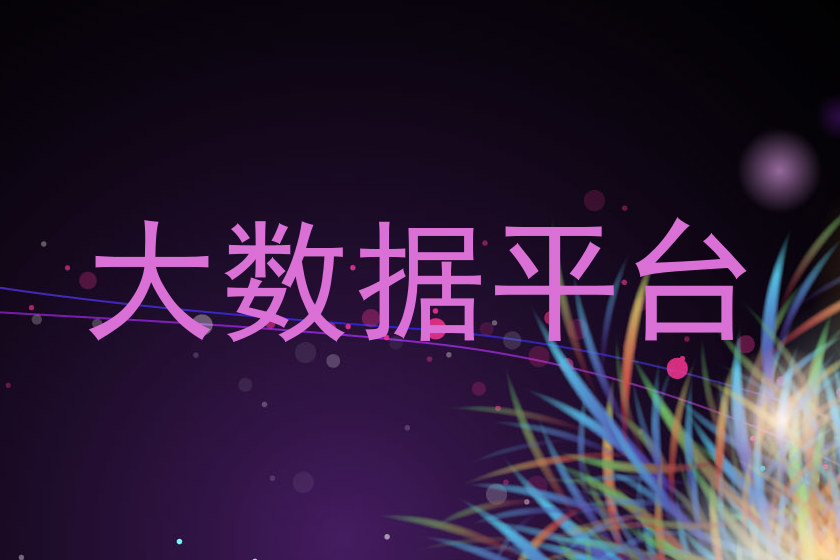 大数据平台