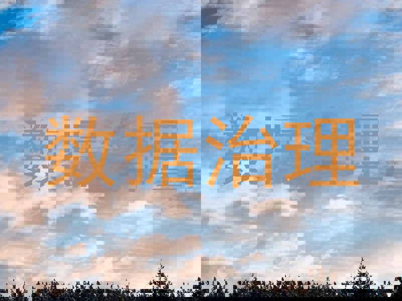 数据治理