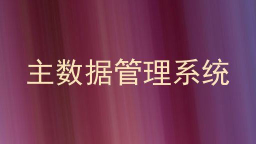 主数据管理系统