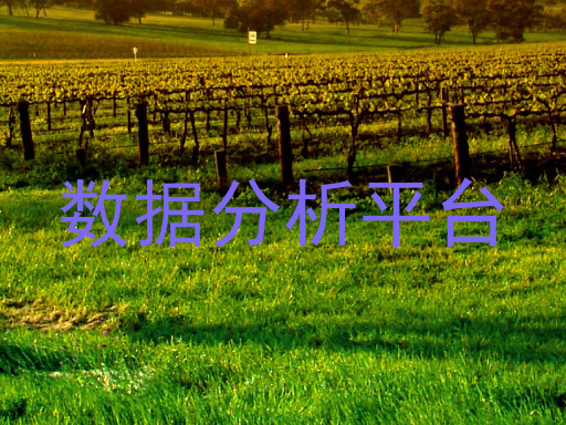 数据分析平台