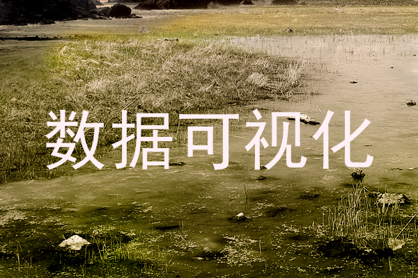 数据可视化