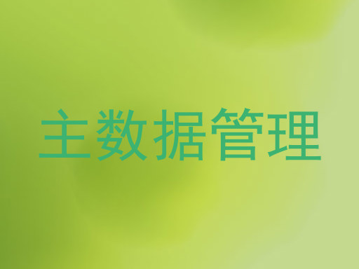 主数据管理