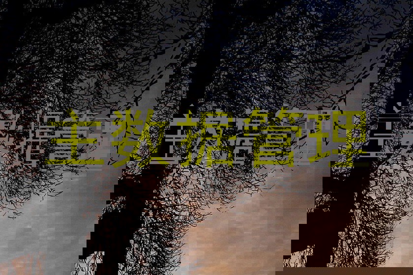 主数据管理