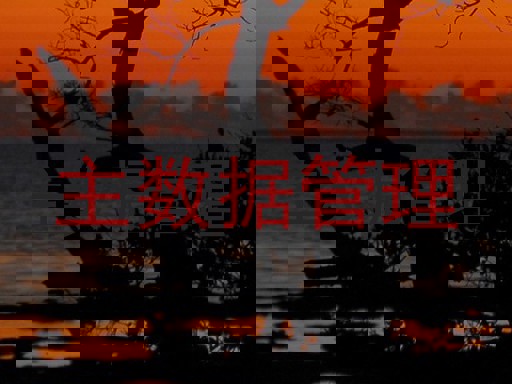 主数据管理