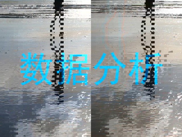 数据分析