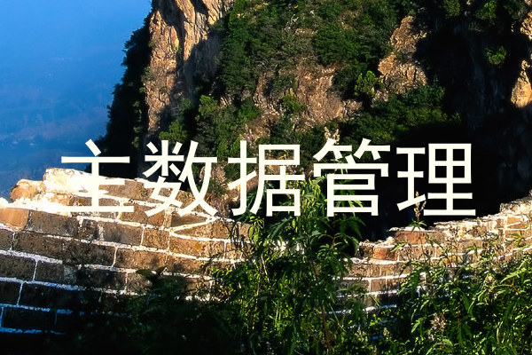 主数据管理