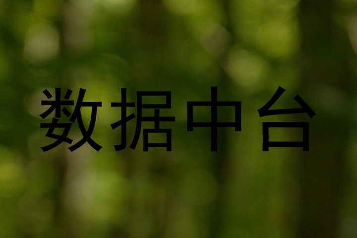 数据中台