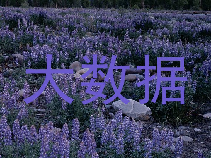 大数据