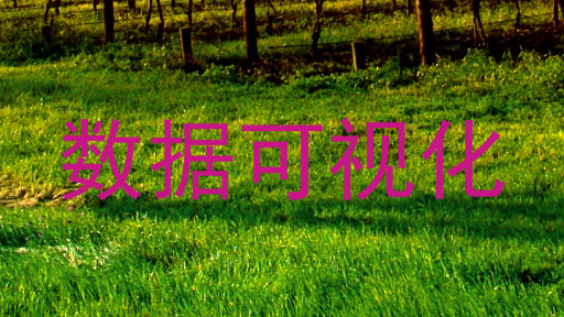 数据可视化