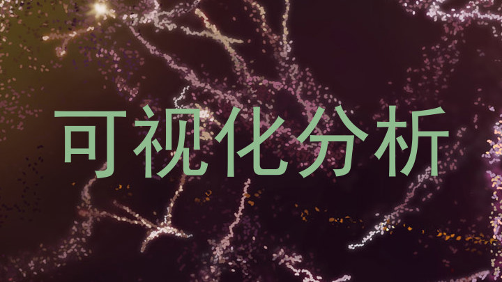 可视化分析