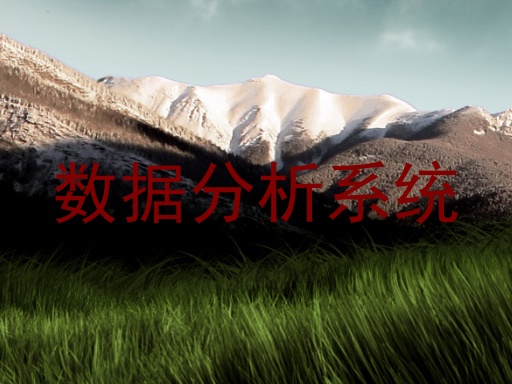 数据分析系统