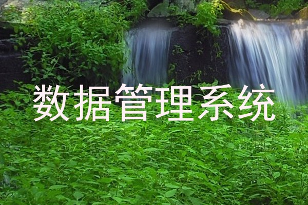 数据管理系统