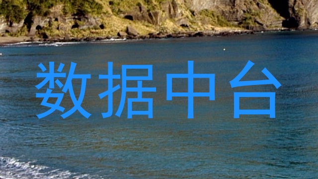 数据中台
