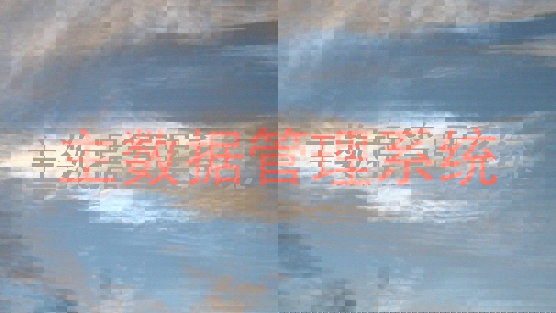 主数据管理系统