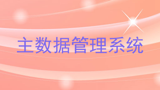 主数据管理系统