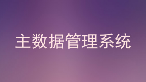 主数据管理系统