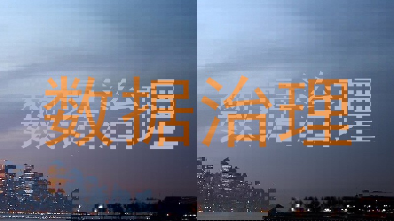 数据治理