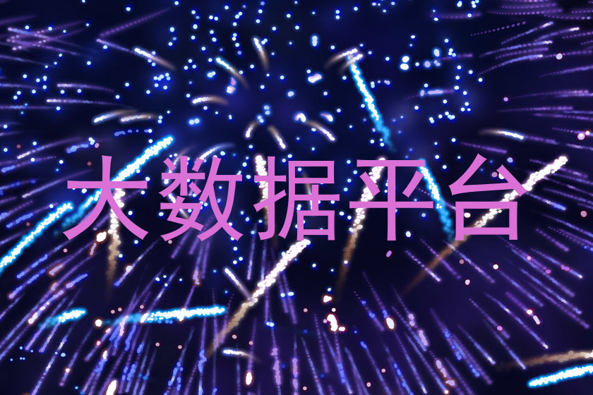大数据平台