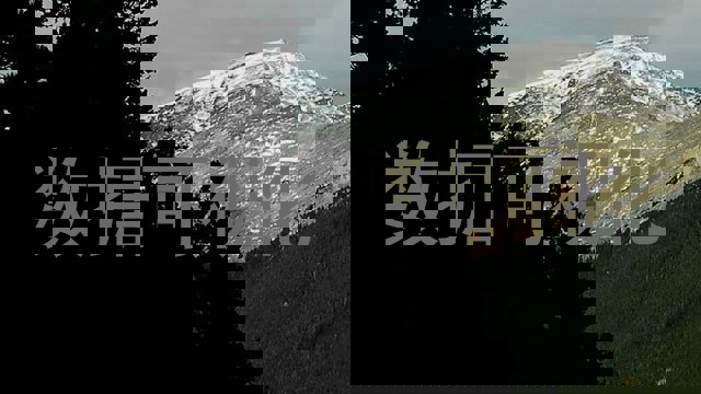 数据可视化