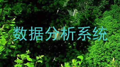 数据分析系统