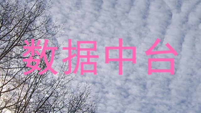 数据中台