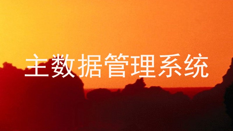 主数据管理系统