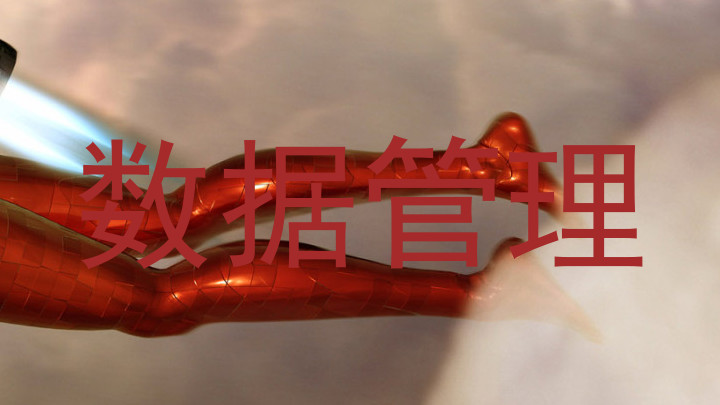 数据管理
