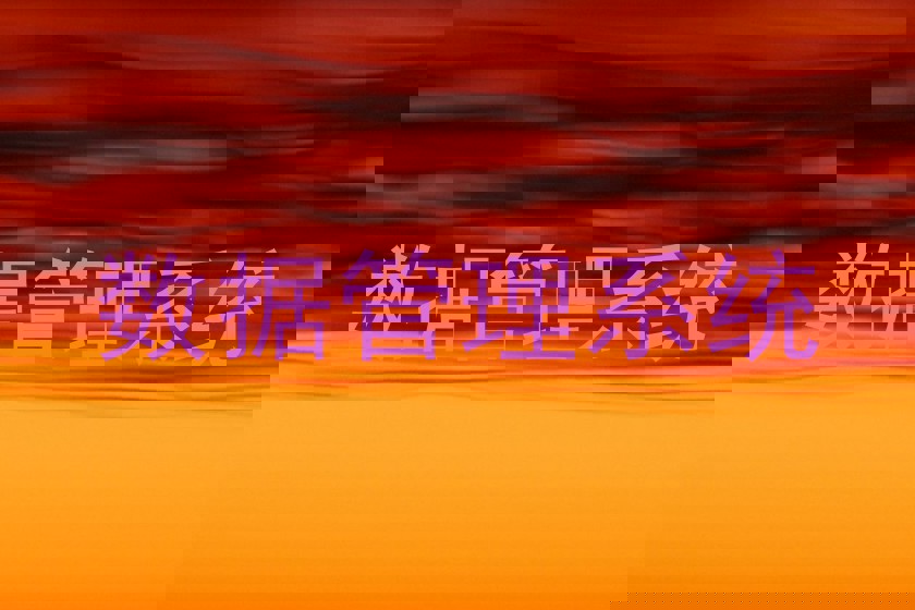 数据管理系统