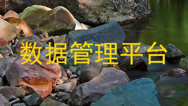 数据管理平台