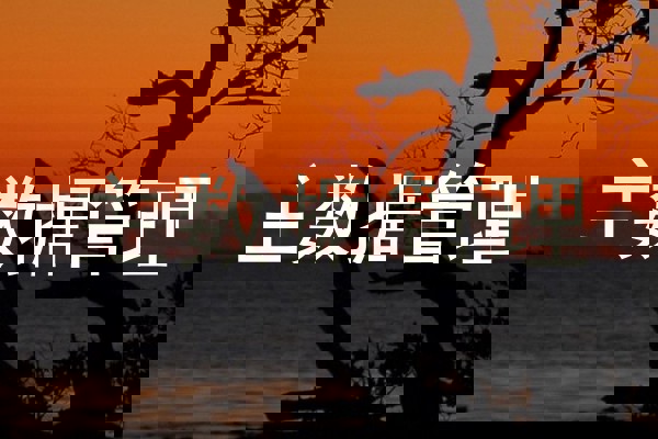 主数据管理