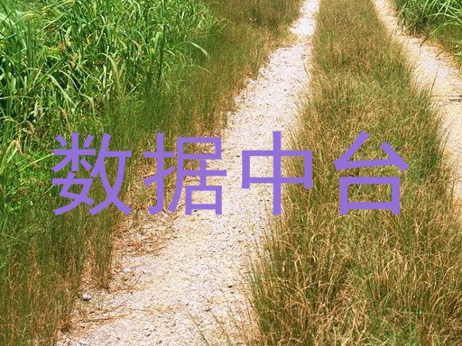 数据中台