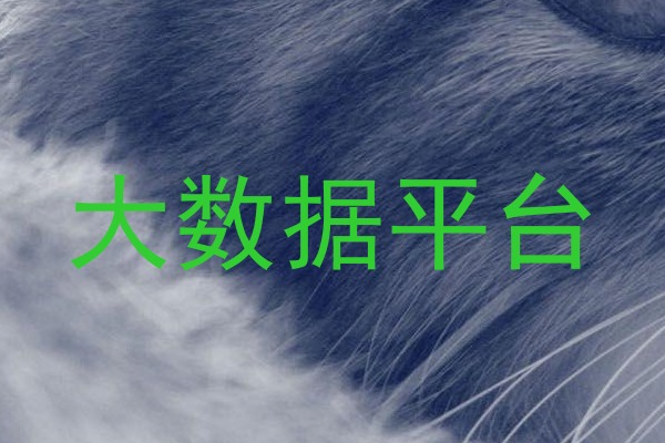 大数据平台