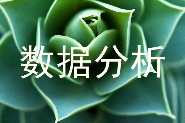 数据分析