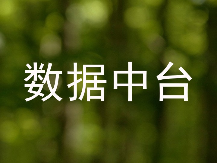 数据中台
