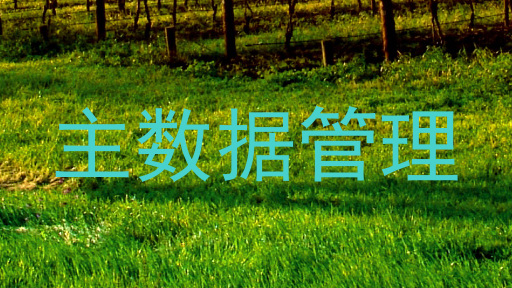 主数据管理