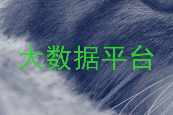 大数据平台