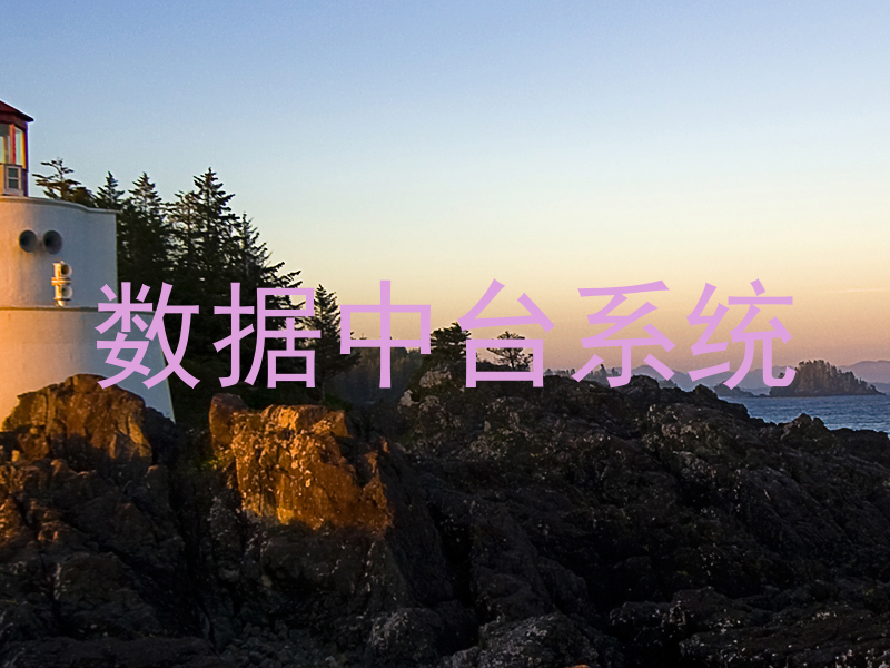 数据中台系统