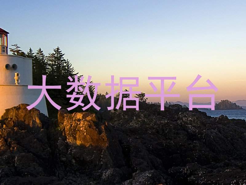大数据平台