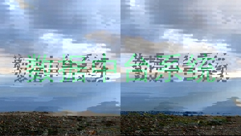 数据中台系统