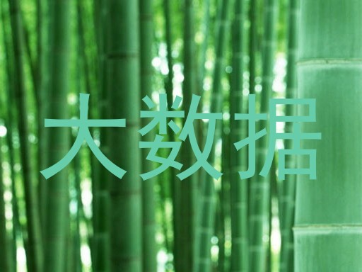 大数据