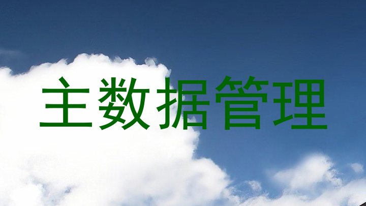主数据管理