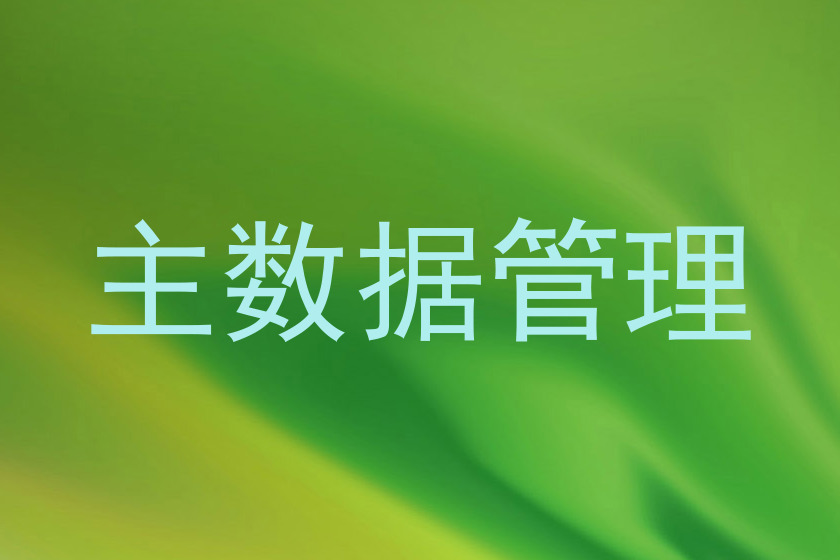 主数据管理