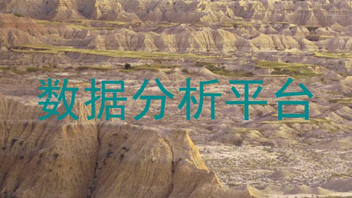 数据分析平台