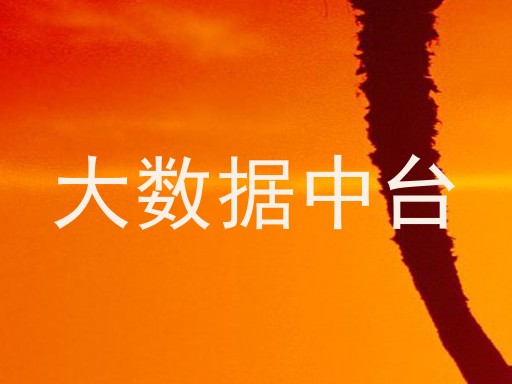 大数据中台