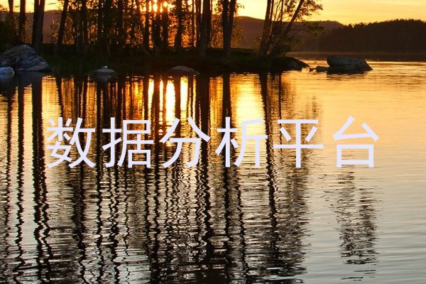 数据分析平台