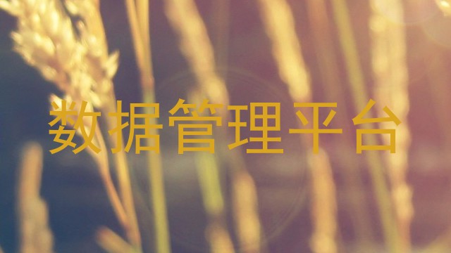 数据管理平台
