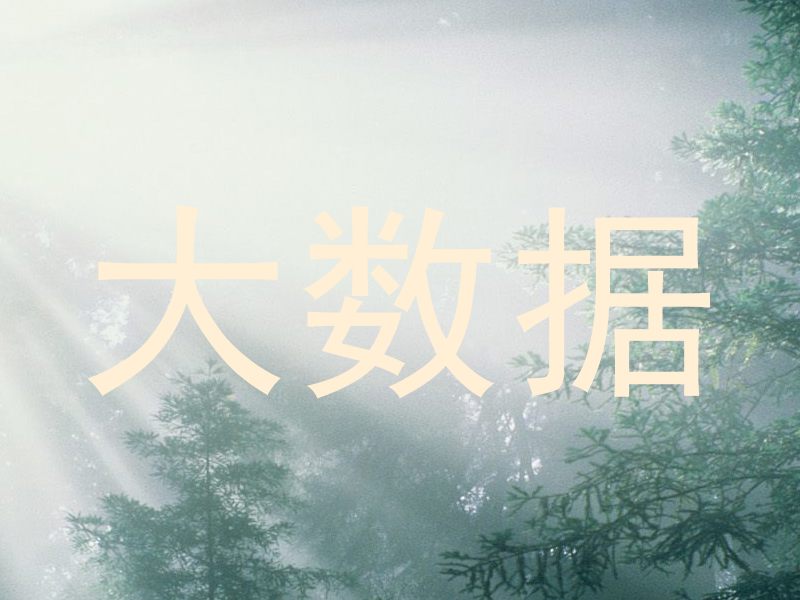 大数据