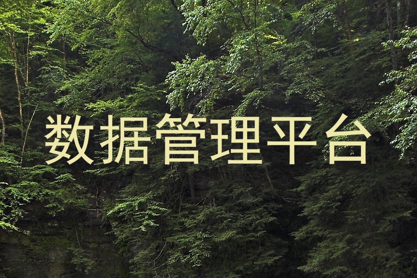 数据管理平台